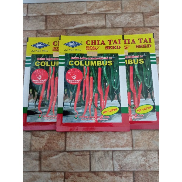 Benih cabe Besar COLOMBUS Hibrida F1 isi 10gram