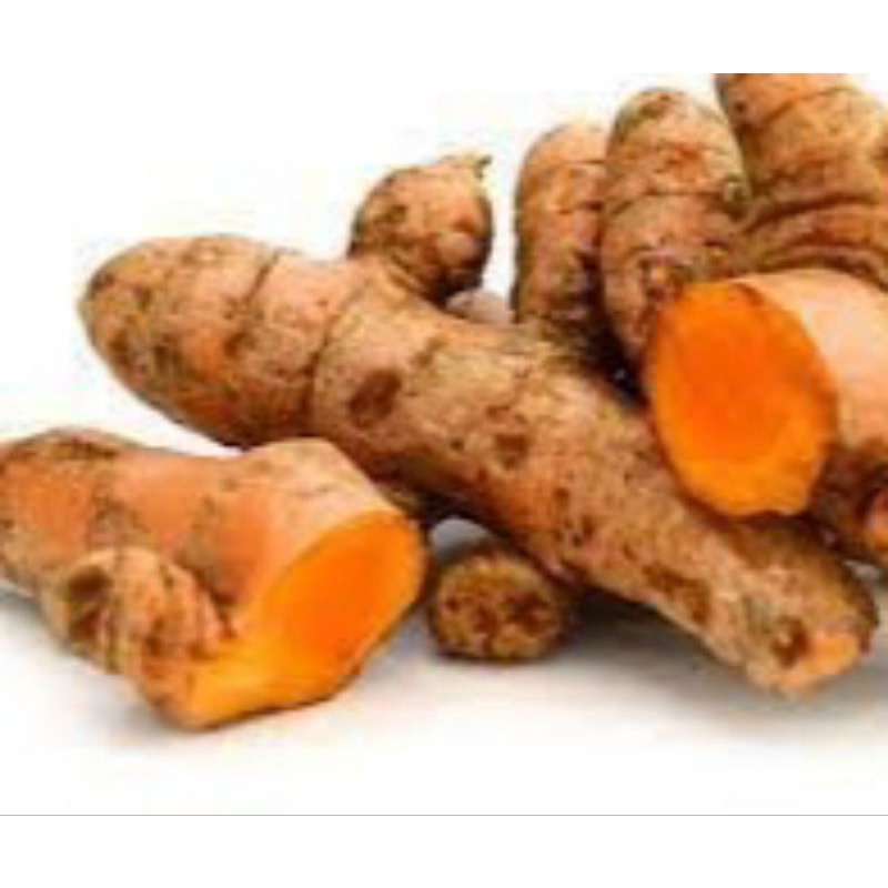 

kunyit bumbu segar 1 kg