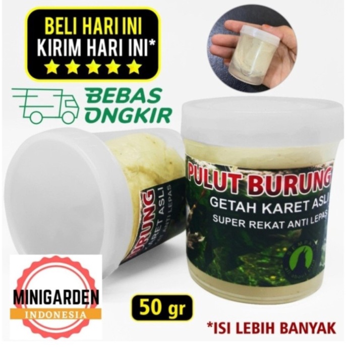*$*$*$*$] PULUT BURUNG GETAH KARET super lengket rekat asli bendo penjerat kaki