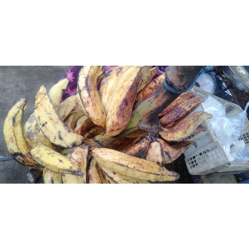 

Buah Pisang Tanduk / Agung 1Sisir