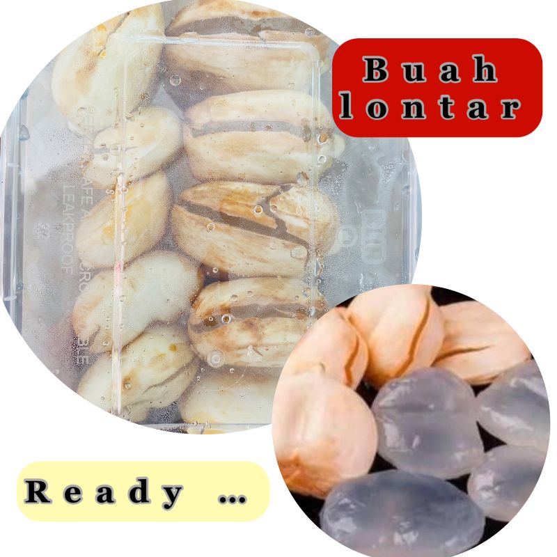 

buah lontar kupas pack enakkk