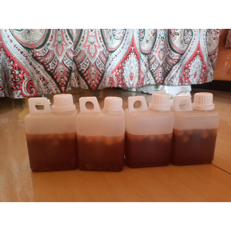 

madu hutan Bawang Putih Lanang 500gr