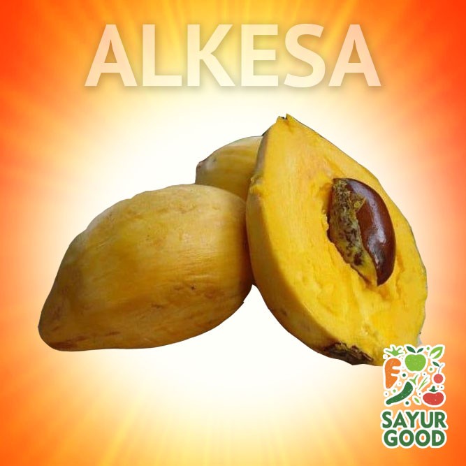 

Buah Campoleh/Alkesa/Sawo Mentega/Sawo Walanda/0.9-1kg/pack