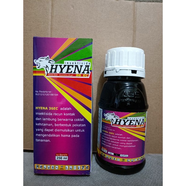 insektisida hyena 36 ec/abamektin/hama keriting/thrips cabai