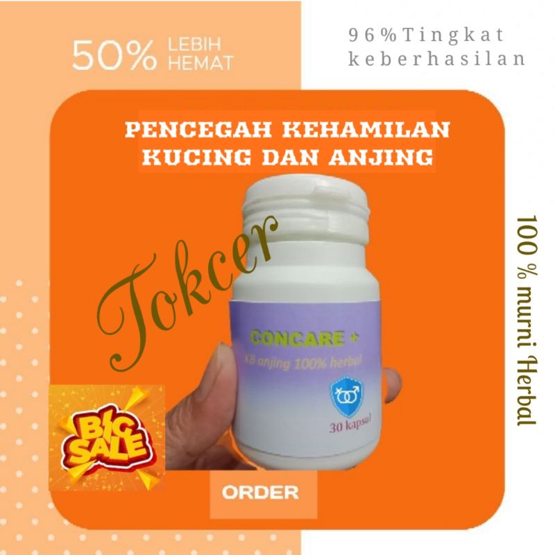 KB anjing pencegah kehamilan Concare