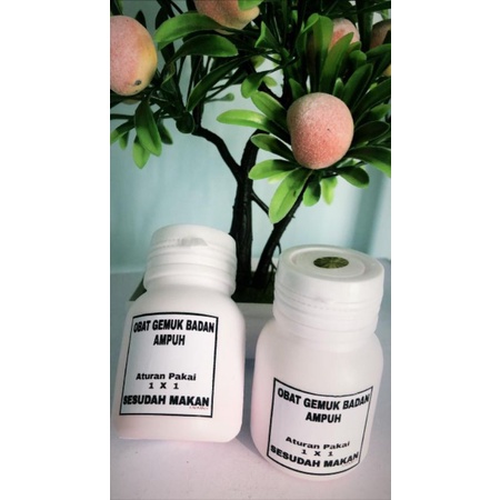 obat penggemuk isi 4 paket