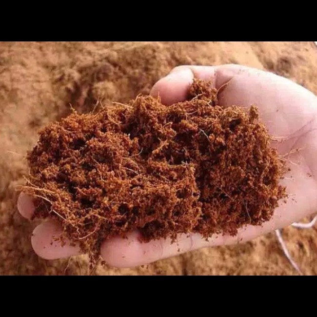 Media Tanam Cocopeat 1 Karung