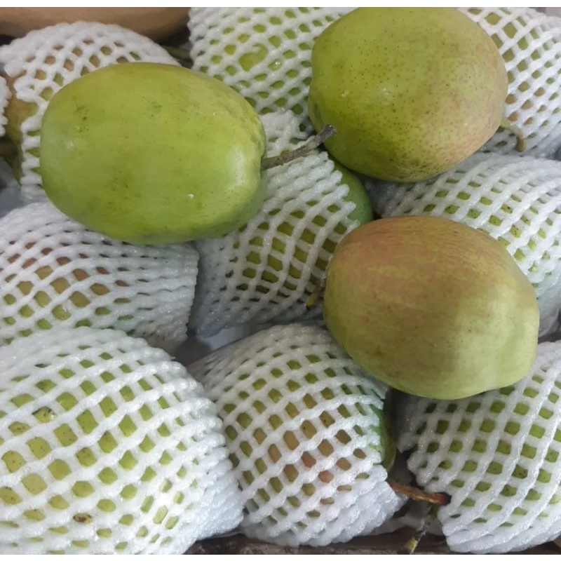 

pear xianly 1 kg