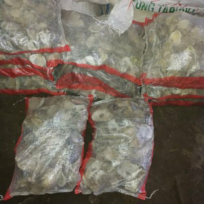 OYSTER SHELL MEDIA FILTER CANGKANG KERANG OYSTER PENTERAL PH 10 KG 1 KARUNG