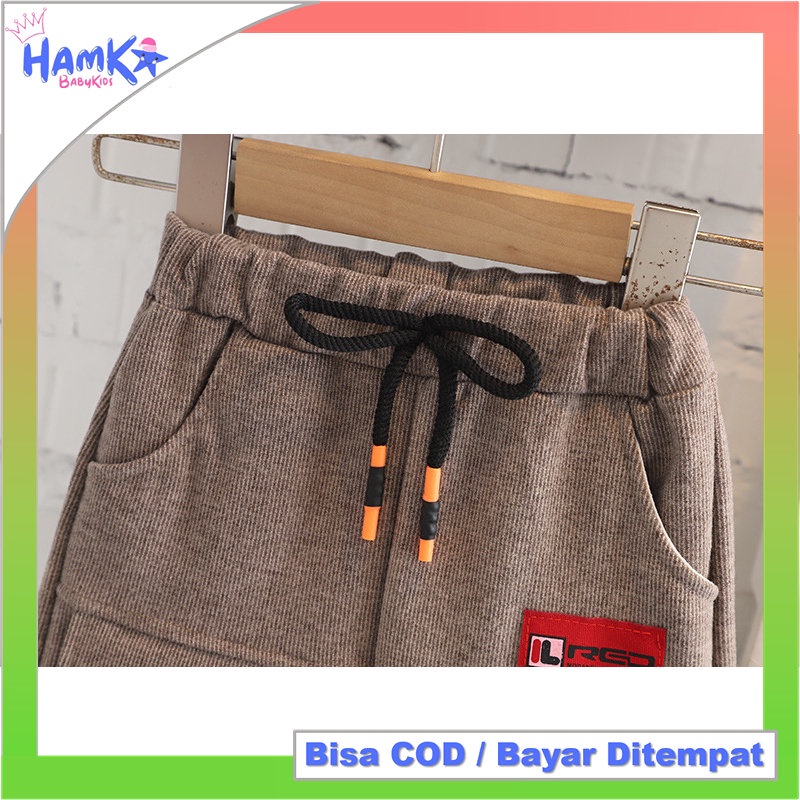 Setelan Jaket Anak Laki Laki Model Dino Import 3 in 1 Jaket Celana kaos Bayi Cowok 6 12 Bulan 1 2 Tahun 2 3 Tahun