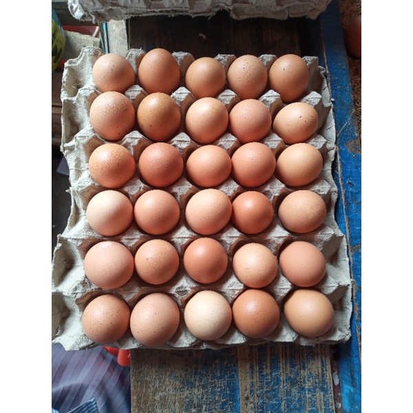 

RB Telur Ayam Negeri Fresh Per 1 Kg