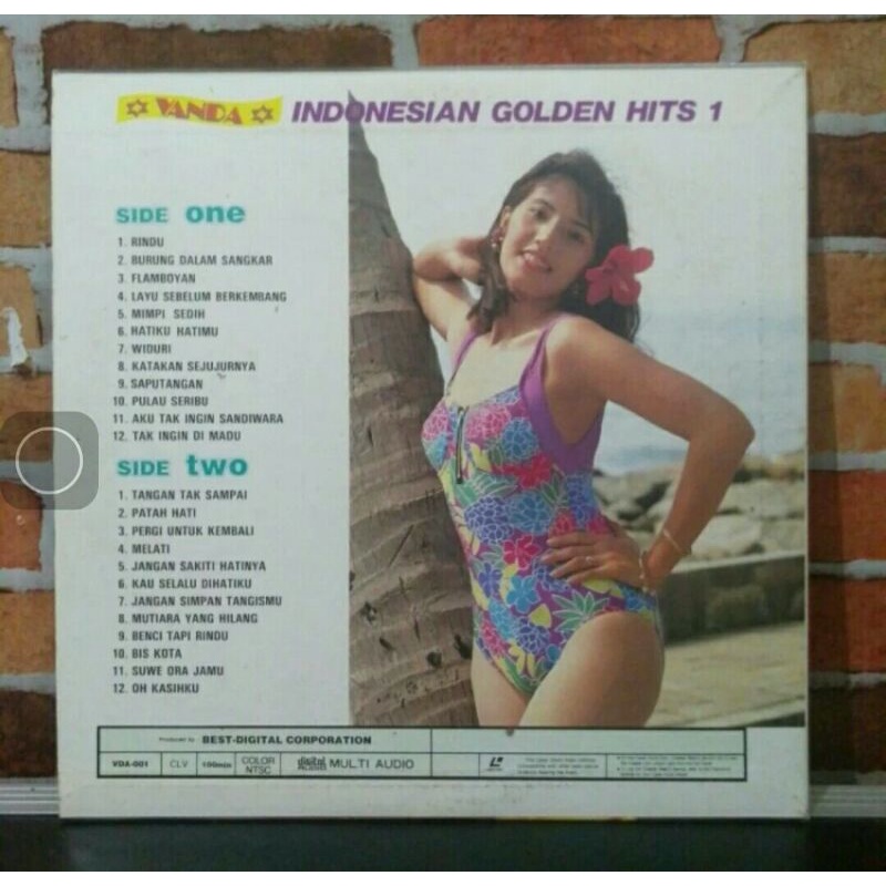 Kaset Laser disc Vanda Indonesian Golden Hits 1