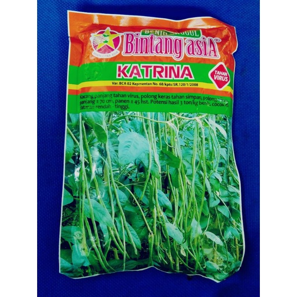 kacang panjang katrina 500gr