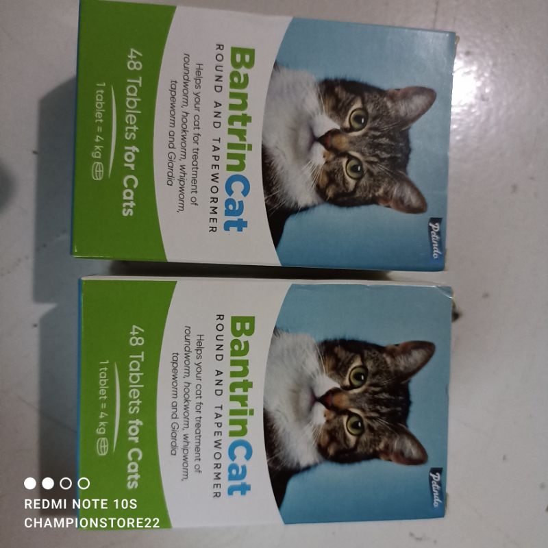 Obat Cacing Kucing Bantrin Cat 1 Tablet by Petindo