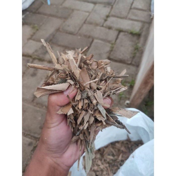 Media Tanam Metan Humus Daun atau andam siap pakai, andam kering