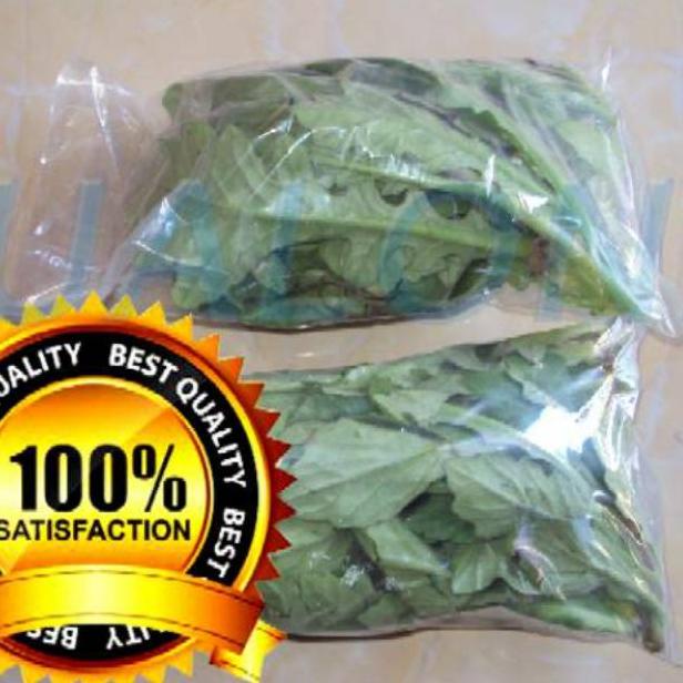 

daun dewa segar asli organik 100gram bukan tapak liman tanpa pestisida ➾Harga Obral