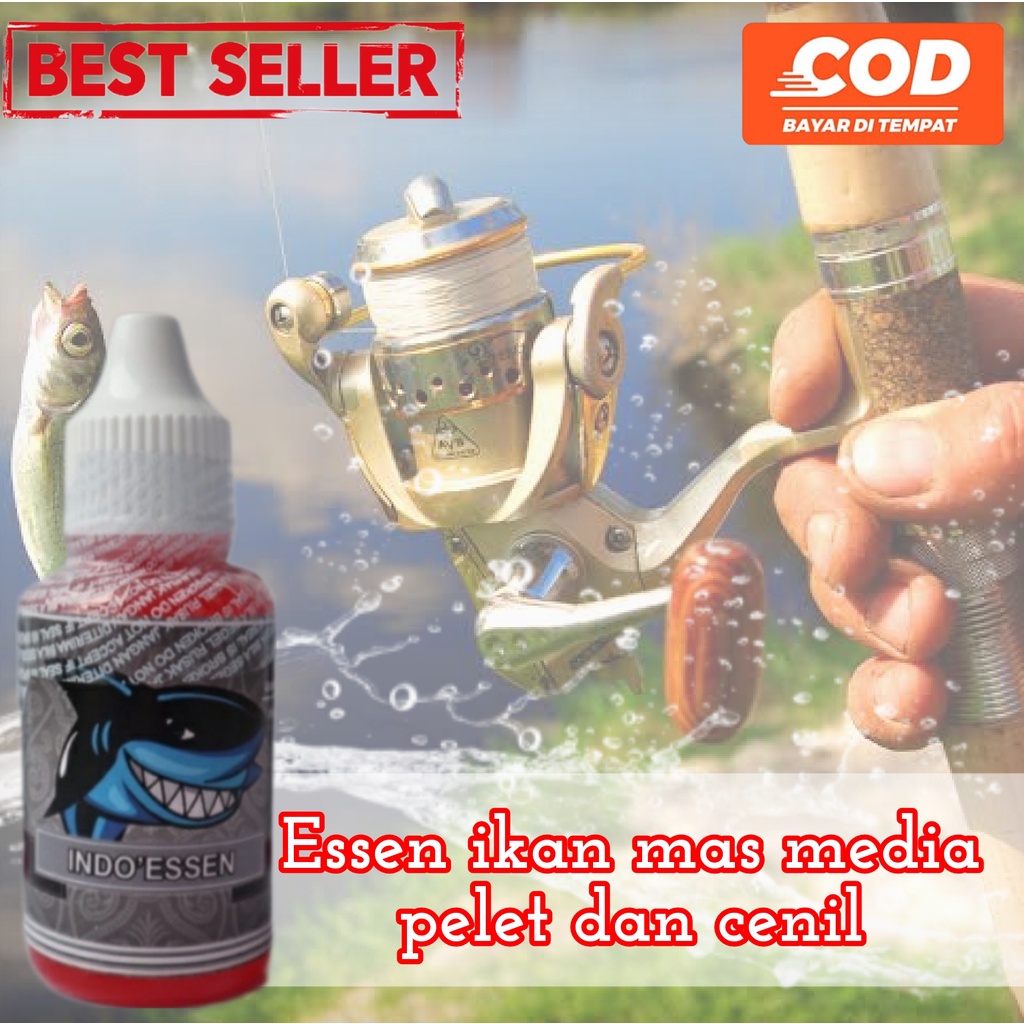 ESSEN JITU IKAN MAS UMPAN PUTIH PALING GACOR,ESSEN IKAN MAS MEDIA PELET DAN CENIL,ESSEN IKAN MAS DI 