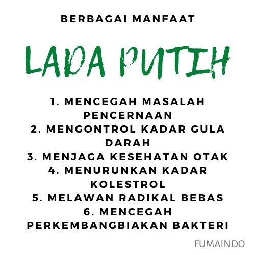 Biji Lada Putih Utuh 100gr / Merica / Rempah / bumbu dapur