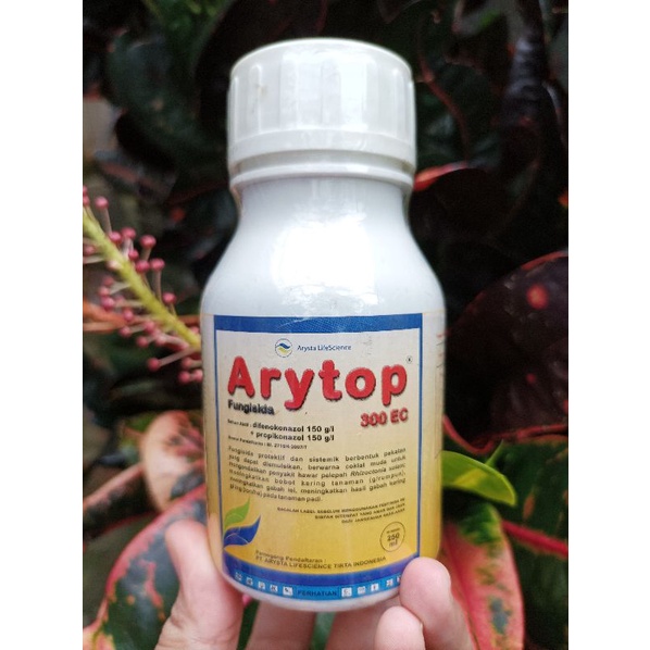 ARYTOP 300EC 250 ML Fungisida Untuk Tanaman Padi