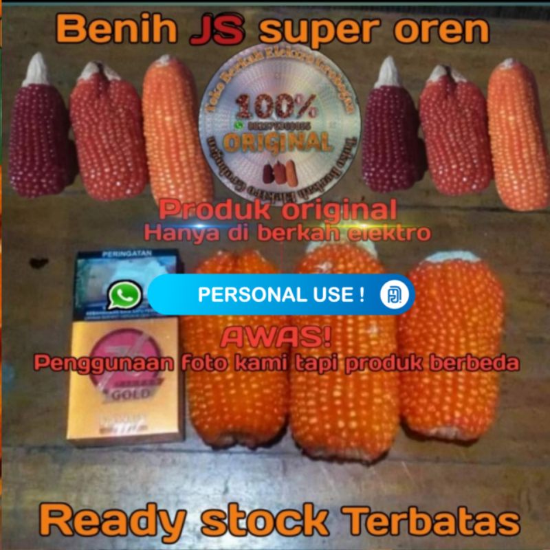 Benih Jagung kristal Orens wortel