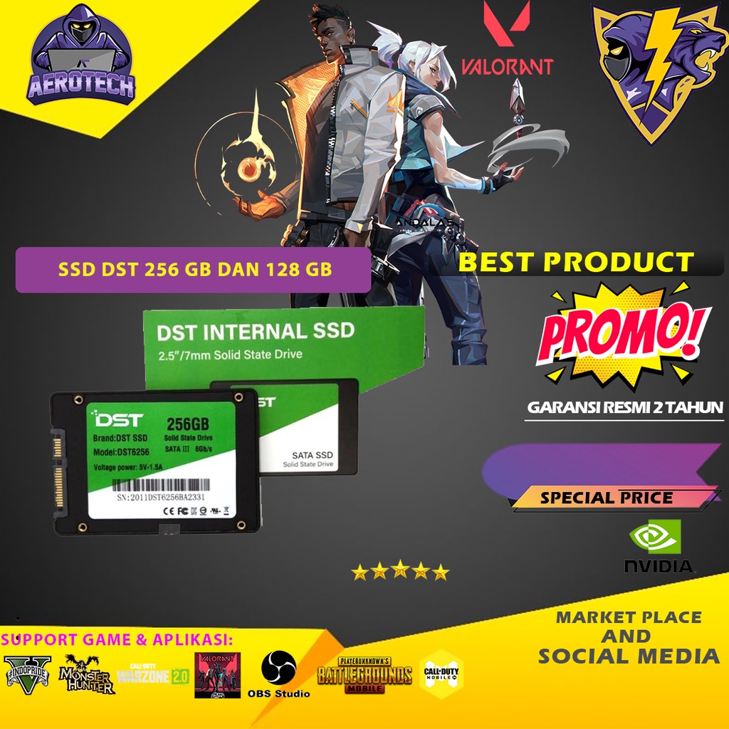 SSD DST 256 GB DAN SSD 128 GB