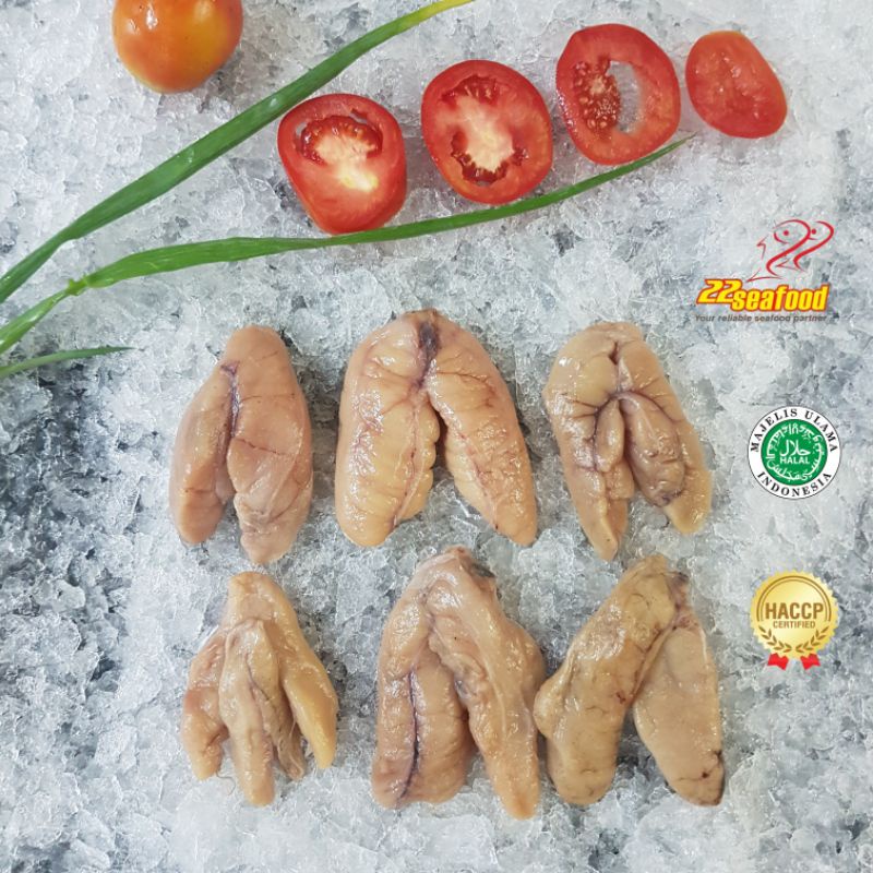 

Ikan Kerapu / Telur Kerapu 500 gram / Seafood 22