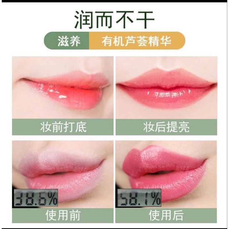 LIPBALM ALOEVERA KISS BEAUTY / LIPBALM ALOEVERA