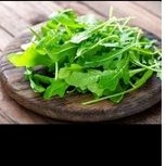 

ARAGULA wild rocket aragulu fresh salad slada selada sayur organik Bandung