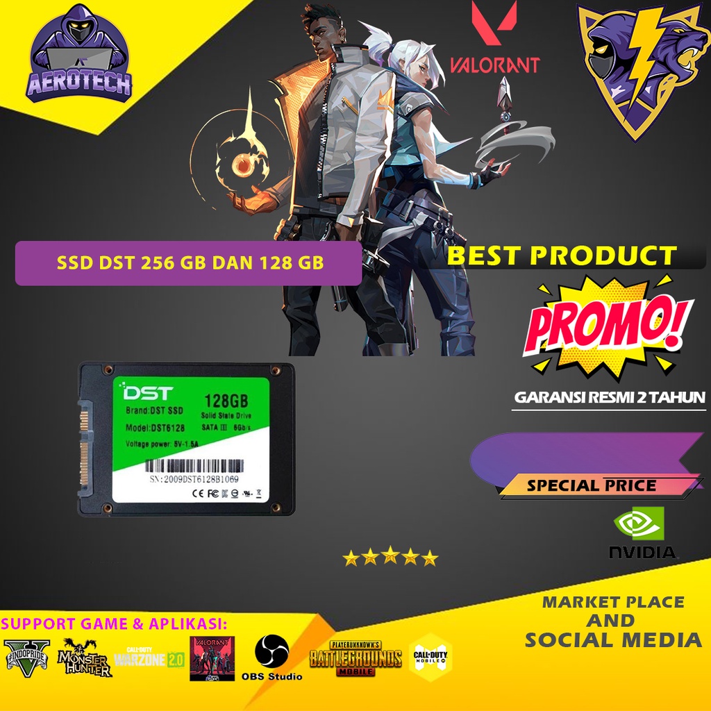 SSD DST 256 GB DAN SSD 128 GB
