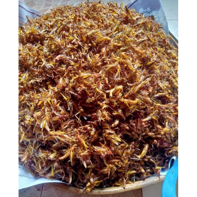 BELALANG GORENG 50 GRAM