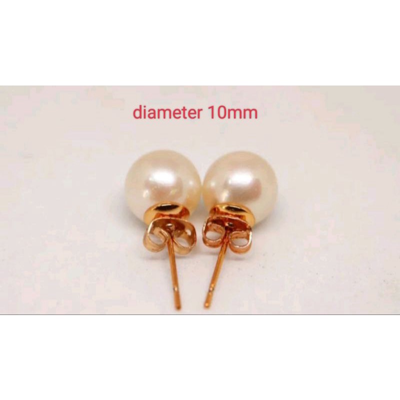 PROMO BERSERTIFIKAT GIWANG MUTIARA LAUT  GRADE A ASLI LENGKAP SERTIFIKAT