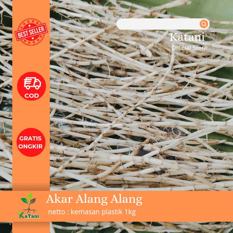 

Akar Alang-Alang kemasan 1kg