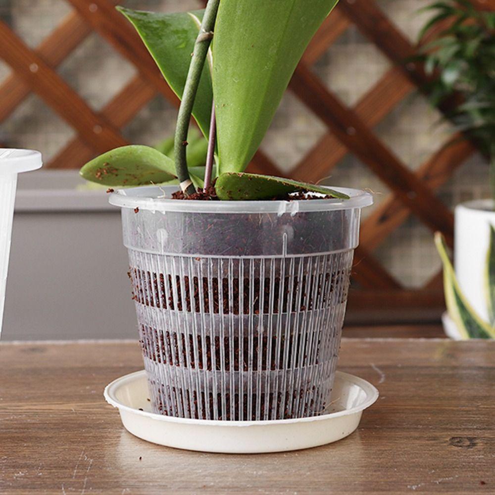 Quinton Pot Bunga Transparan Dengan Lubang Udara Breathable Taman Untuk Dekorasi Rumah Office Decor Cattleya Home Stomata Pot Bunga