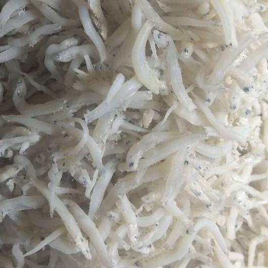 

➮ Teri toge super Medan no 1 ® 100% asli Medan,berat 500 gram ➪