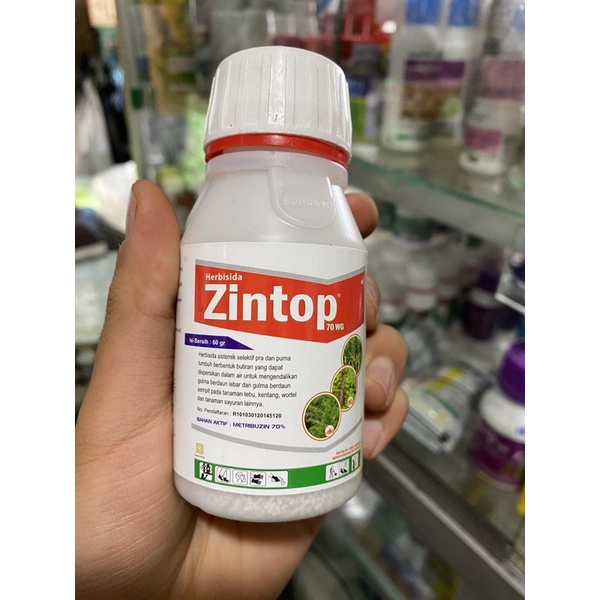 Herbisida zintop 70WG 60gram