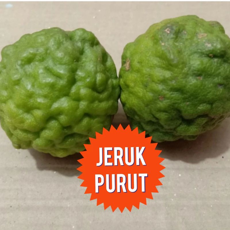 

jeruk purut