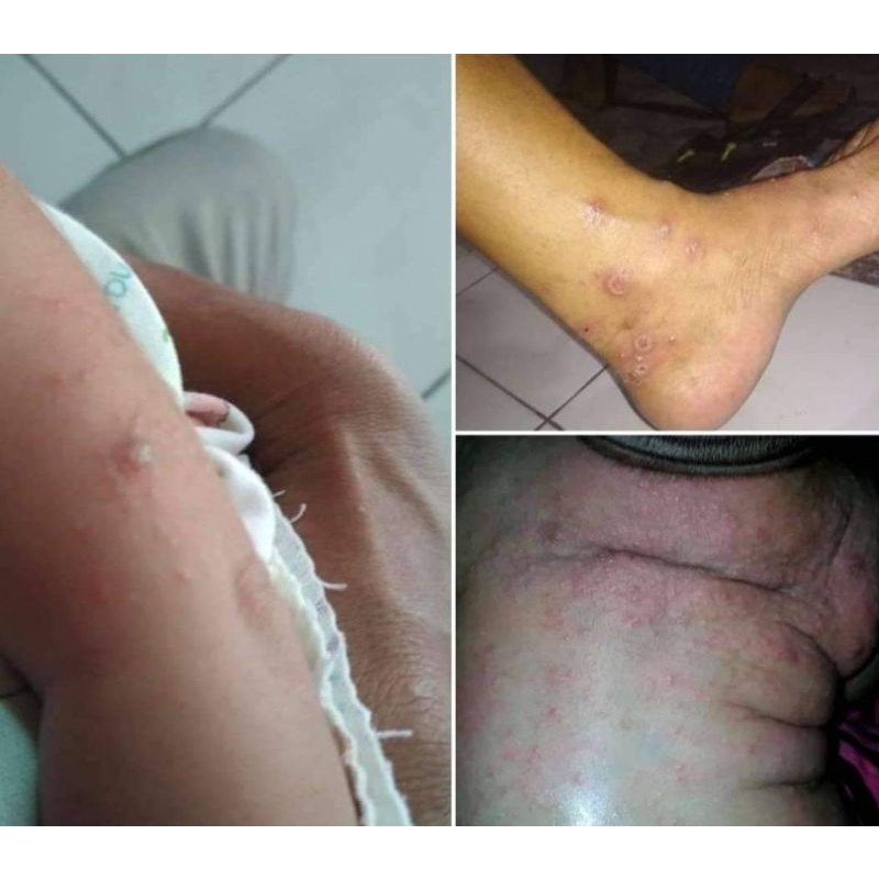 sabun bidara arab asli