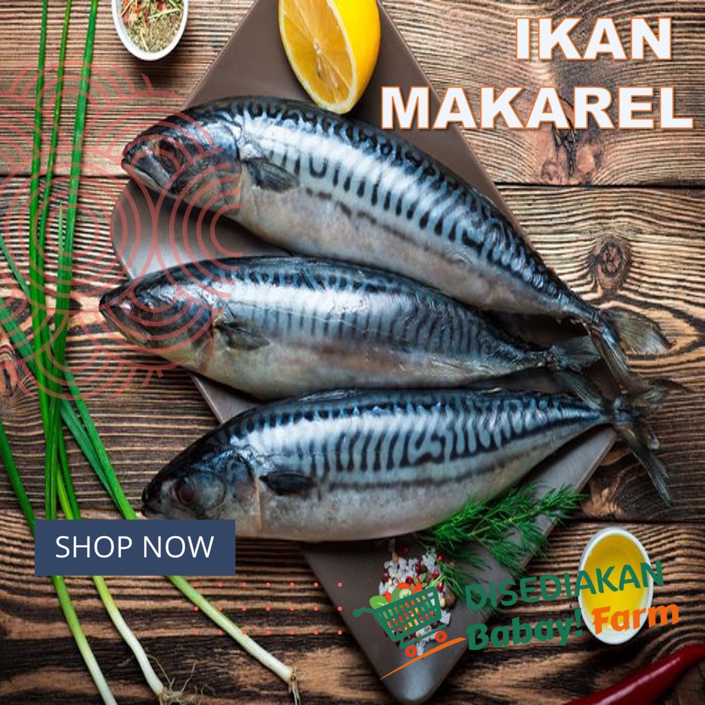 

Ikan Makarel Fillet 250 gram / Sarden Mackarel 500 gr 1 kg