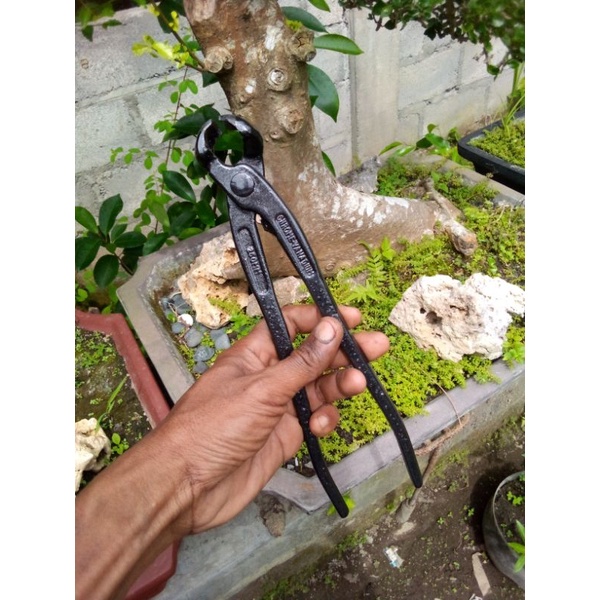 CATOK BONSAI CEMBUNG HANDMADE