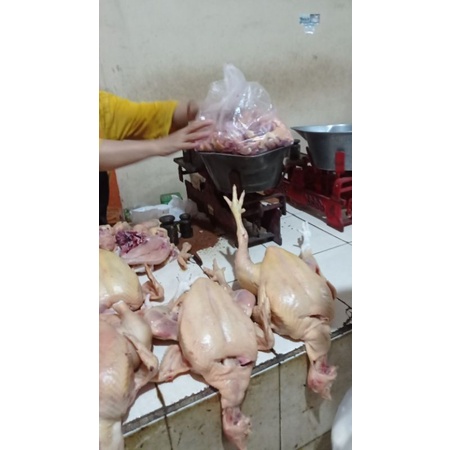 

ayam kiloan
