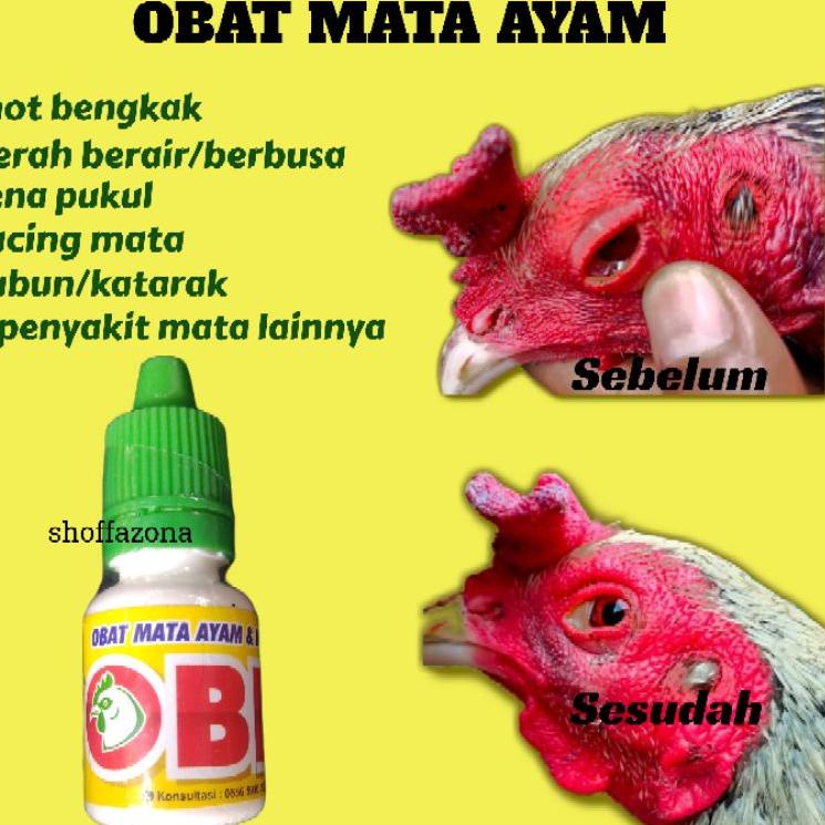 Dijamin Ori>/ Obat Mata Ayam Obat Mata Burung , Obk Mata, Obk Mata Ayam