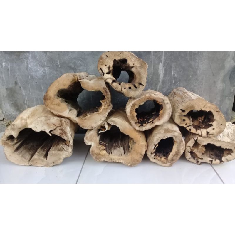 Hiding cave reptil, tarantula, kura2 bulat kayu kopi