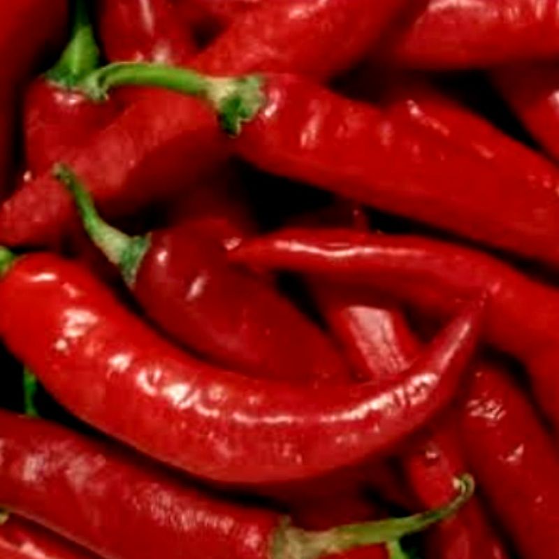 

Cabe merah tanjung besar