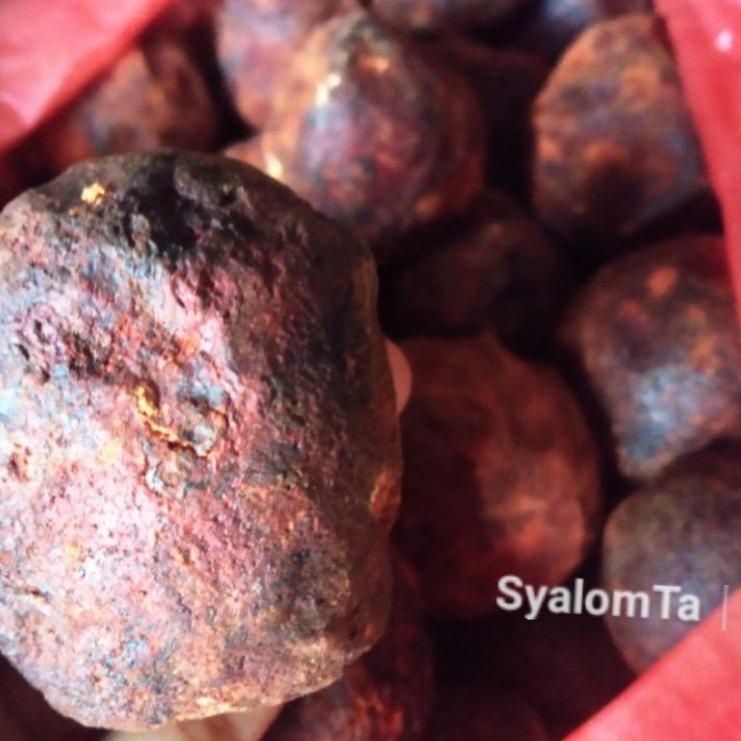 

12.12 MALL Gambir Maha Bunga Medan