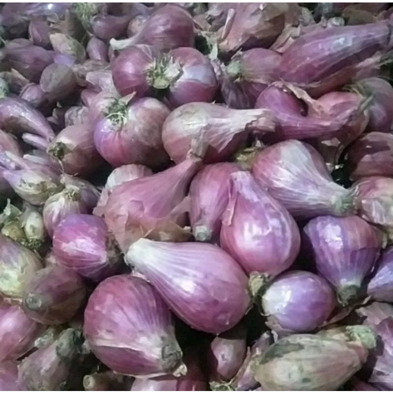 

Bawang Merah Brambang Merah kering Besar Tanggung kemasan 1 Kg