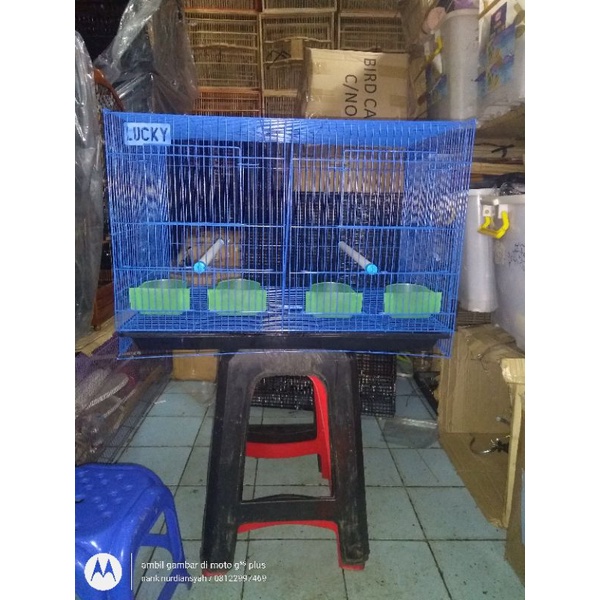 kandang ternak burung / anakan ayam /marmut / anakan kelinci / ayam kate model sekat ukuran 60x40