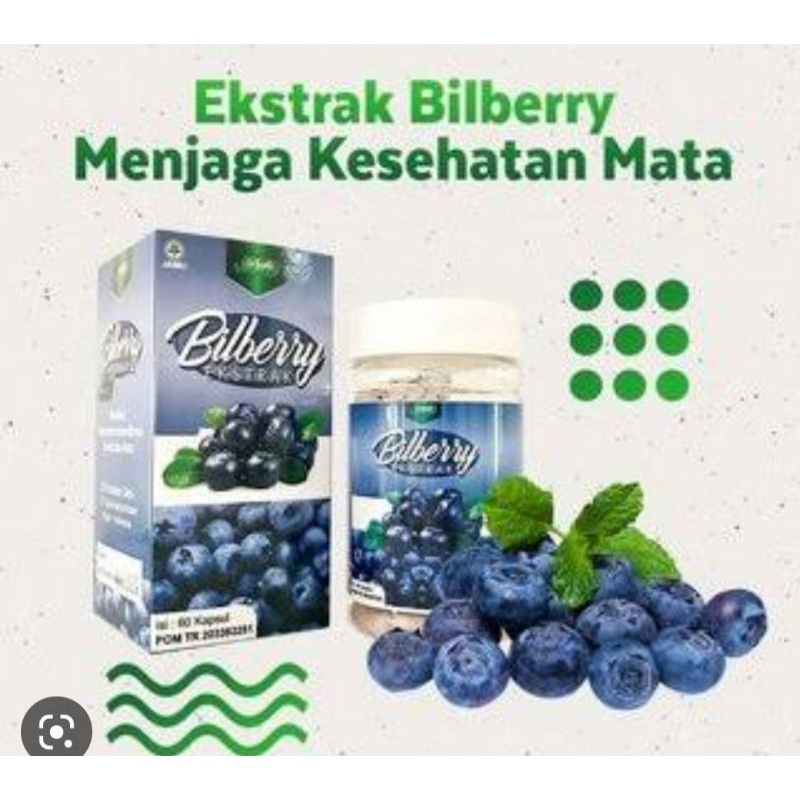 Bilberry extrak kspsul kesehatan mata