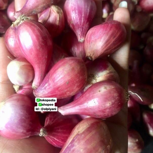 

✨COD✨ Bawang merah sedang 1kg 