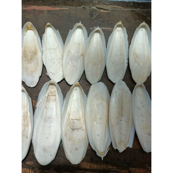 Asinan kenari / tulang sotong