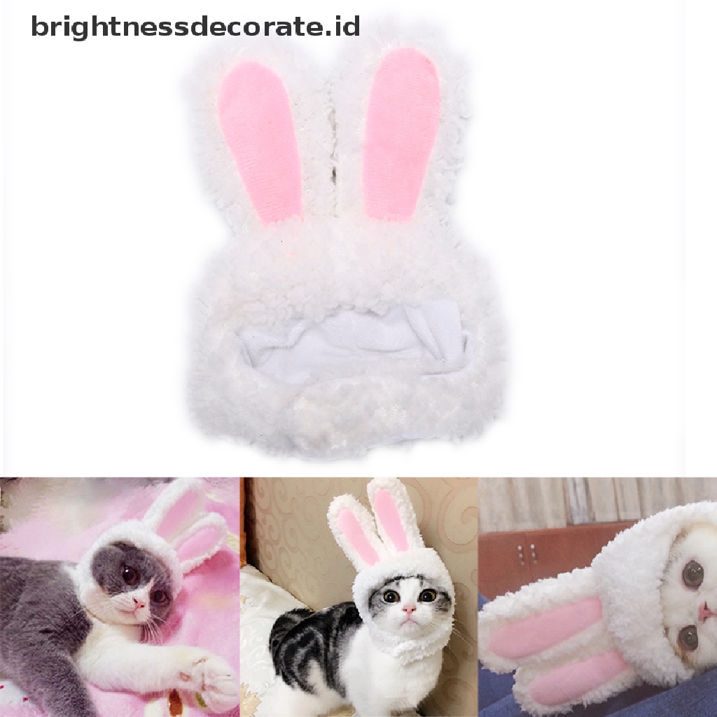 [Birth] Topi Telinga Kelinci Kelinci cat Peliharaan Kostum cosplay Untuk Kucing Anjing Kecil Pesta [ID]